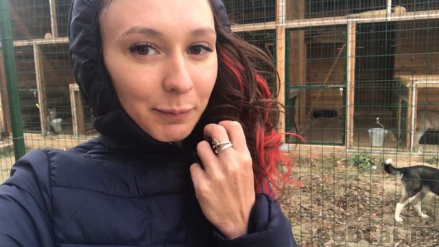 ВЫПУСКАЕМ ДИКУЮ РЫСЬ смотреть онлайн