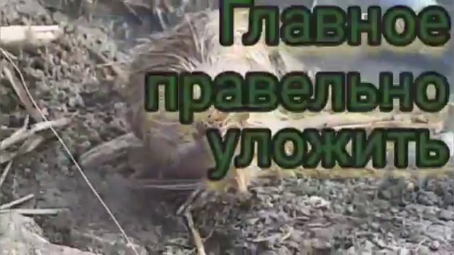 Самая модная прическа и стрижка от крутого стелиста. С днем парикмахера! смотреть онлайн