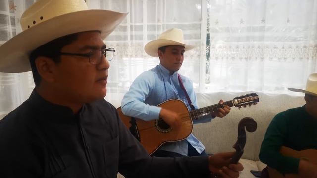 Temple Huasteco nos deleita con una Huasanga en Tihuatlán смотреть онлайн