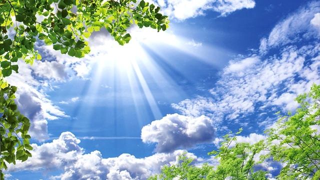 Застонут на земле живущие Будет пожата США Пророчество 2023 смотреть онлайн