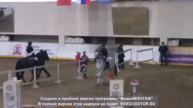 Битца Конно-спортивные соревнования 25.01.2015 смотреть онлайн