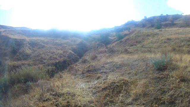 2021-2022 Keklik Avı -Duble Vuruş-Partridge Hunt- #kınalıkeklik - охота на куропатку