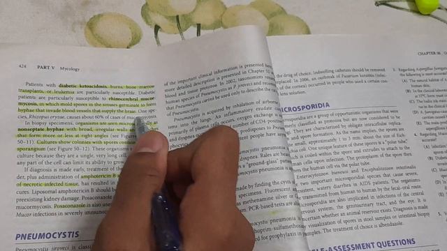 Mucor and Rhizopus (Microbiology) - PATHOLOGY смотреть онлайн