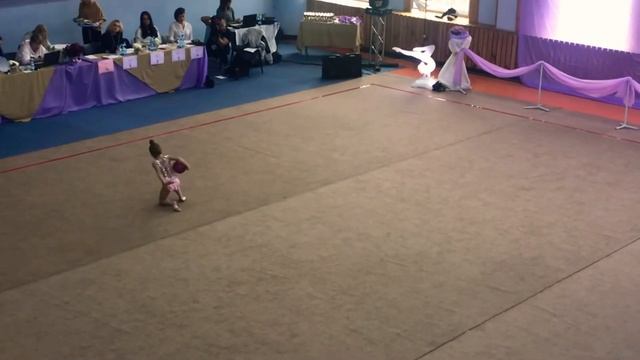 Примачок Камилла, мяч, 09.11.2019, Черкассы смотреть онлайн