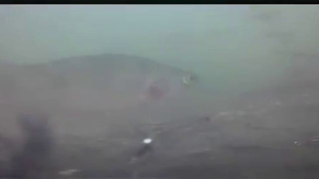 Відеокамера на рибалці смотреть онлайн