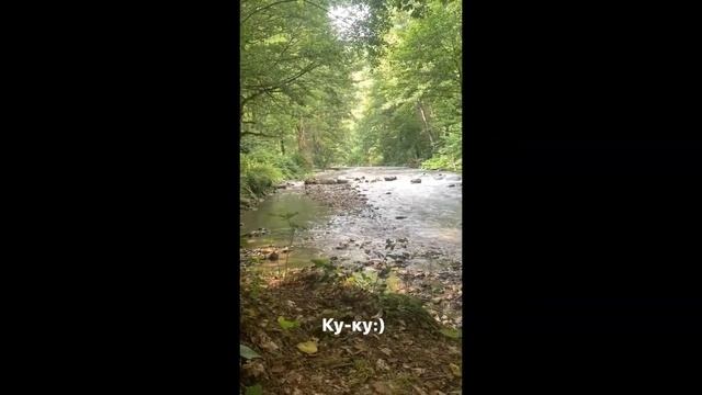 Екатерина Шпица отдыхает с сыном в Сочи смотреть онлайн
