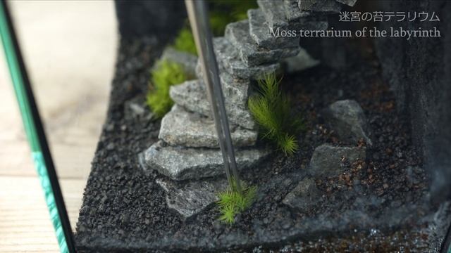 コケの生える迷宮【苔テラリウムの作り方 石段＆苔壁】#36｜How to make moss terrariums of the labyrinth#36 смотреть онлайн