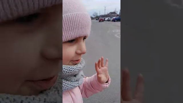 Спасители животных(5) смотреть онлайн