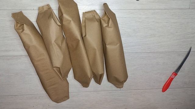 Две посылки со Стрептокарпусами, распаковка посылки, какие сорта смотреть онлайн