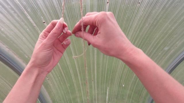 Подвязка томатов. Скользящий узел. смотреть онлайн