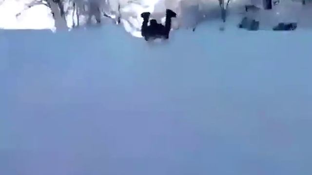 Скоростной спуск на санках с горы в Чечне смотреть онлайн