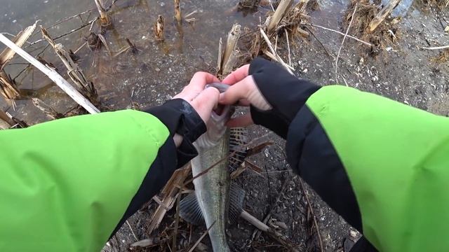 ЭТА РЫБА ЧУТЬ НЕ УНЕСЛА В ВОДУ\ БЕШЕННАЯ рыбалка 2020 смотреть онлайн