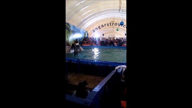 Дельфинарий2 смотреть онлайн