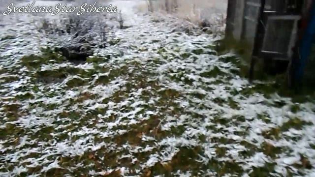 2Часть ПОКУПКИ ПРОДУКТОВ СВЕТОФОР*МАГНИТ*У НАС СНЕГ ВАЛИТ смотреть онлайн