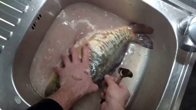 Как чистить карпа