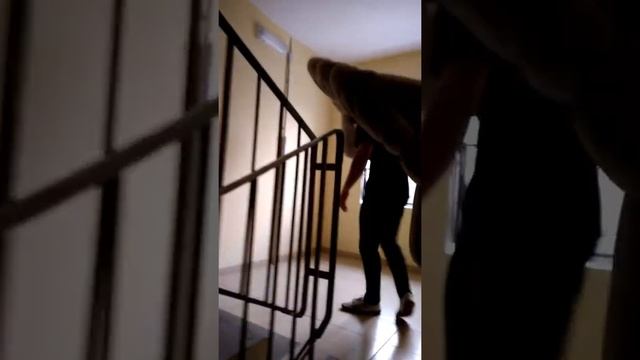 Грузоперевозки, Грузчики Санкт-Петербург смотреть онлайн