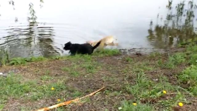 Bonya-and-Nora-on-the-lake-10.05.2010-MVI_3019