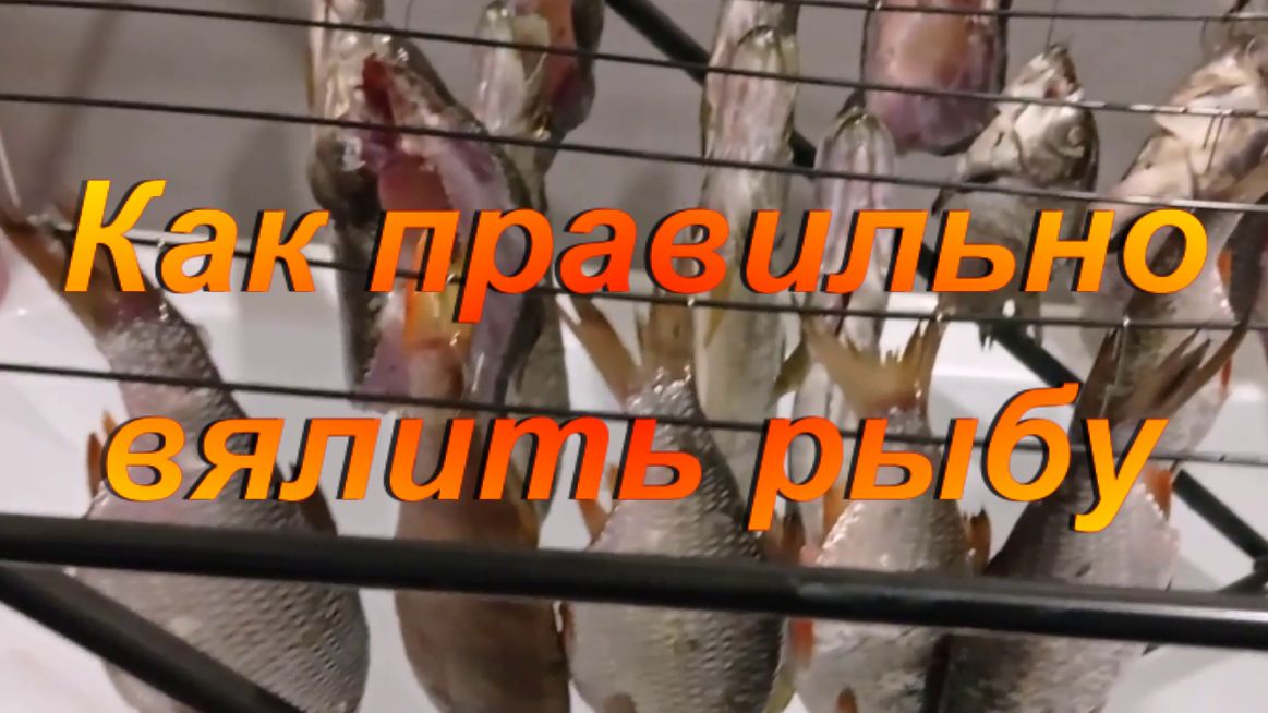 Мужской досуг