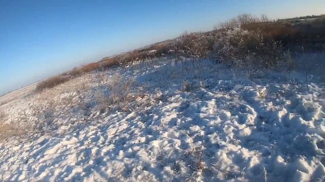 Охота на косулю 2020