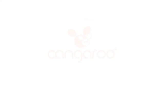 3563511, 3563512, 3563513 Комбинирана бебешка количка Cangaroo 2в1 Icon | КОМСЕД смотреть онлайн