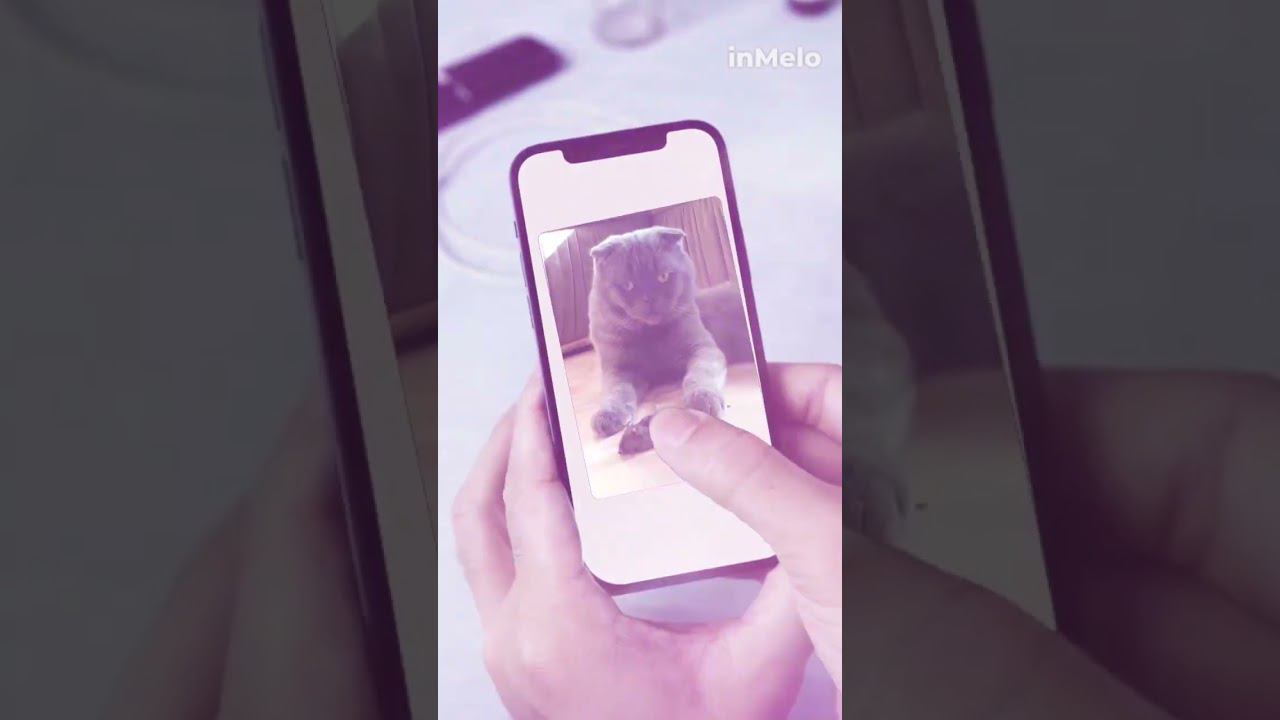 кот и мышка смотреть онлайн