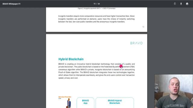 BRAVO - обзор WhitePaper. смотреть онлайн