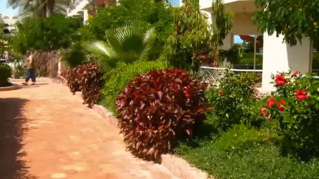 EGYPT HURGHADA HOTEL PANORAMA BUNGALOWS смотреть онлайн