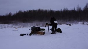 Стрельба из карабина Тигр 7.62х54R 50, 100 и 200 метров.  23 Декабря 2021. Результат.