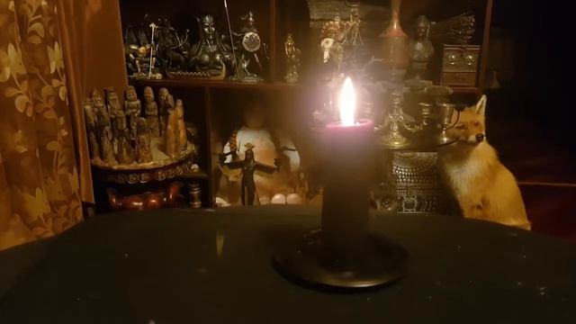 ОТ ВРЕДИТЕЛЕЙ В ДОМЕ ДЛЯ ВСЕХ ▶️ ВЕДЬМИНА ИЗБА ИНГА ХОСРОЕВА смотреть онлайн