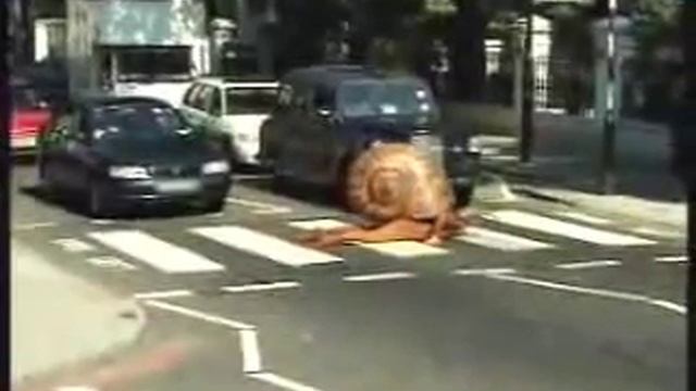 улитка переходит дорогу смотреть онлайн