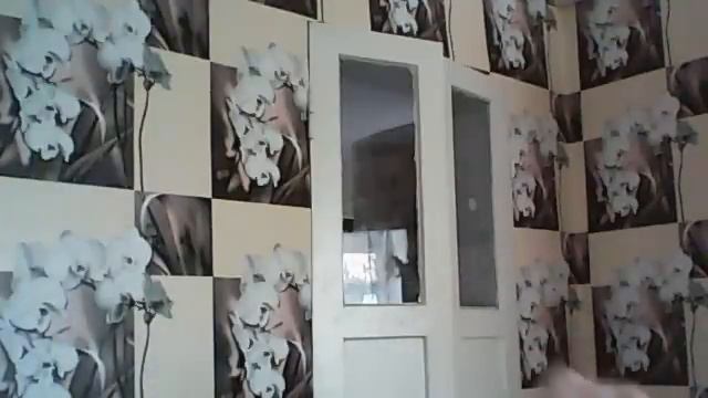 Видео c веб-камеры от 5 июня 2015 г., 12:08 (UTC) смотреть онлайн