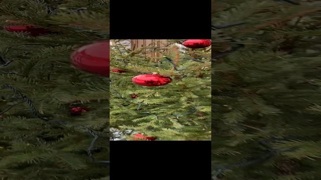 #shorts 23-02-2024 #2024 #путешествия #серпухов смотреть онлайн