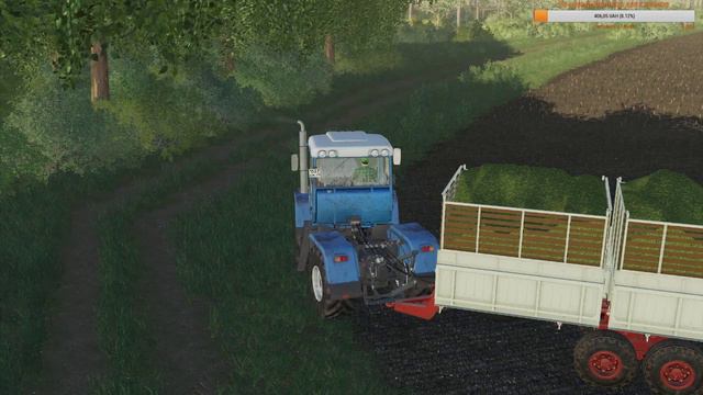 FS19 - Карта 