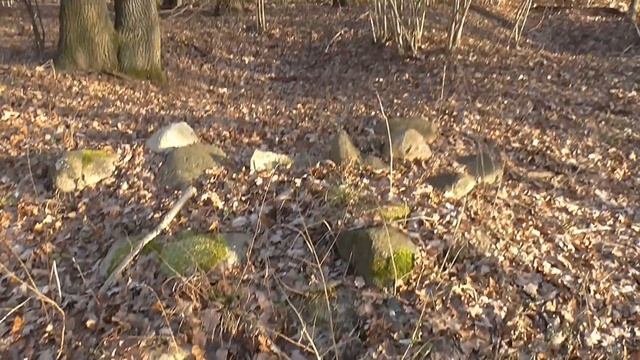 Земля промерзла!!! И даже в лесу! смотреть онлайн