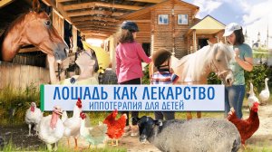 Особенный проект. Что такое иппотерапия и как она работает