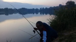 Рибалка есть рибалка.Зачётные карпы обрываются.Мелкие отпускаю.