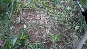 Fisher F 44. Мнение (отзыв) и небольшой тест.