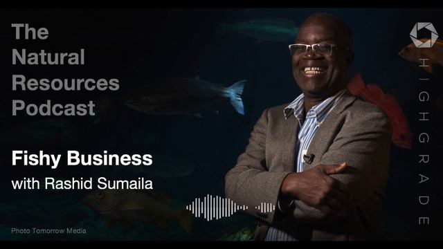 Fishy Business | Highgrade with Rashid Sumaila смотреть онлайн