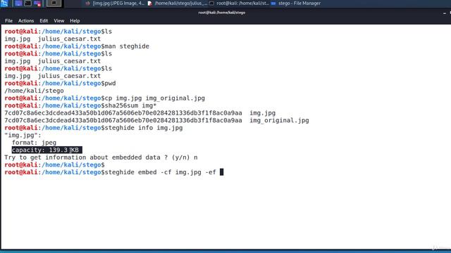 Ethical Hacking from Scratch_ Complete Bootcamp 2024 _ Udemy смотреть онлайн