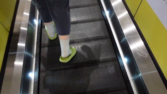 Подготовка Дня Рождения! Встреча после долгой разлуки с лежаком!