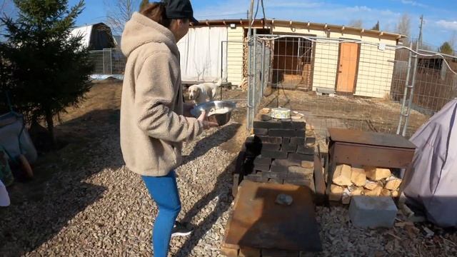 КАК ВЫРАСТИТЬ БОЛЬШОГО АЛАБАЯ? О ЧЕМ НЕ РАССКАЖУТ В ПИТОМНИКЕ смотреть онлайн