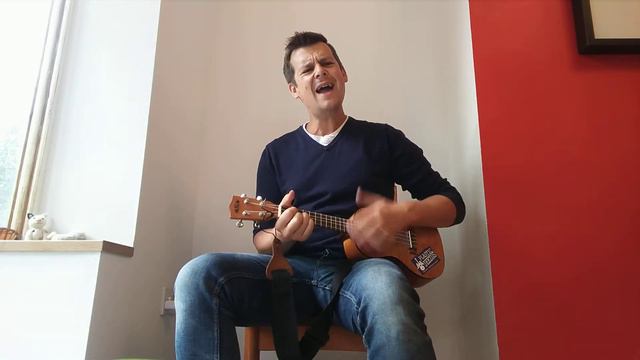 Nirvana - Very Ape - Ukulele Cover смотреть онлайн