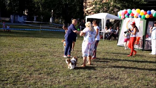 Кунгур 06 08 16г смотреть онлайн