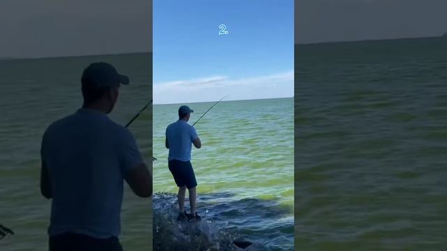 Три Правила Рыбака! Работает ;) смотреть онлайн