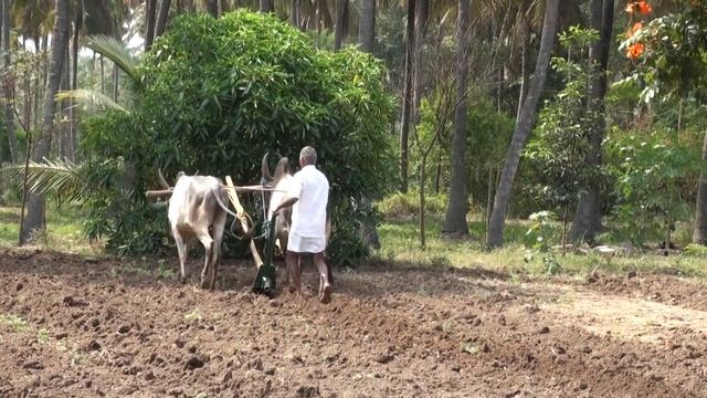 Irumbu Kalapai மாட்டேரு இரும்பு கலப்பை – பார்ட் 2 смотреть онлайн