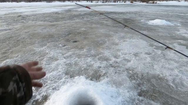 ЭТО КЛЁВЫЙ МАЙСКИЙ НО ПОСЛЕДНИЙ ЛЁД! РЫБАЛКА ВЕСНОЙ НА НАЛИМА, ОКУНЬ И ЩУКА НЕ ОТСТАВАЛИ! РЫБА ЕСТЬ смотреть онлайн