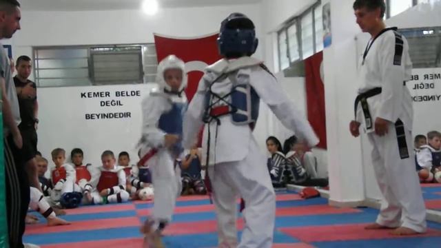 Тхеквондо Россия VS Турция смотреть онлайн