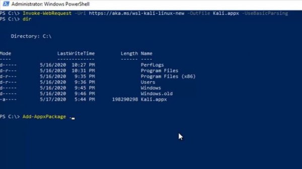 Install Kali Linux with PowerShell on Windows without Virtual Machine (WSL)