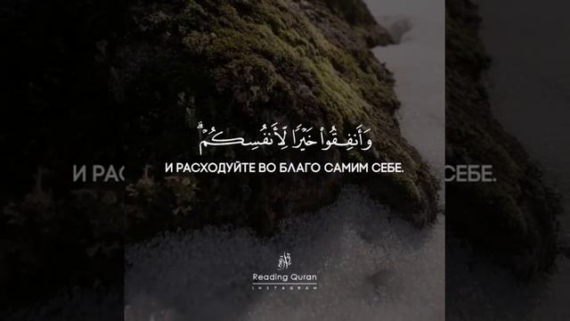 СУРА 64 «Взаимный обман» , аяты 15-18