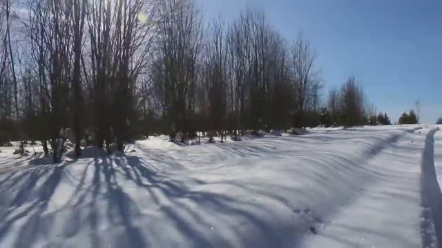 Свято чтим своих богов и предков, живем по совести и в ладу с природой.